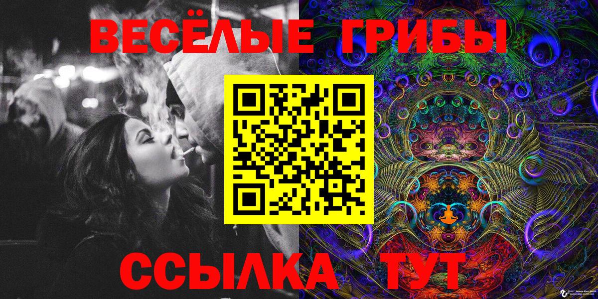 Ярославль  Псилоцибиновые грибы мухоморы  Галлюциногенные грибы GOLDEN TEACHER  Вход с VPN 